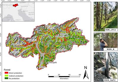 Contrasting impacts of climate change on protection forests of the Italian Alps